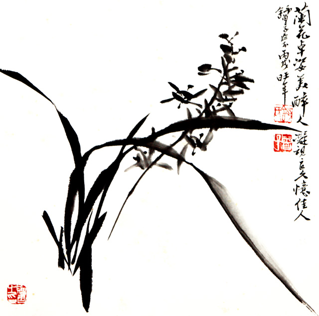 舒曾子蘭花卓姿美醉憶佳人