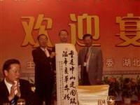 華中九衢武漢三鎮