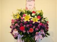 馬英九賀展出成功