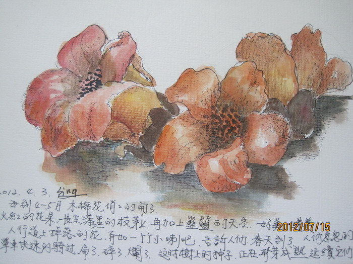 翰墨溢香史瑛速写展之004
