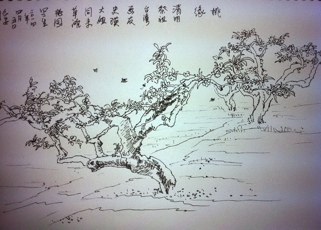 周西省邀史瑛桃园写生素描
