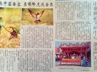 金门日报介绍妈祖文研中心